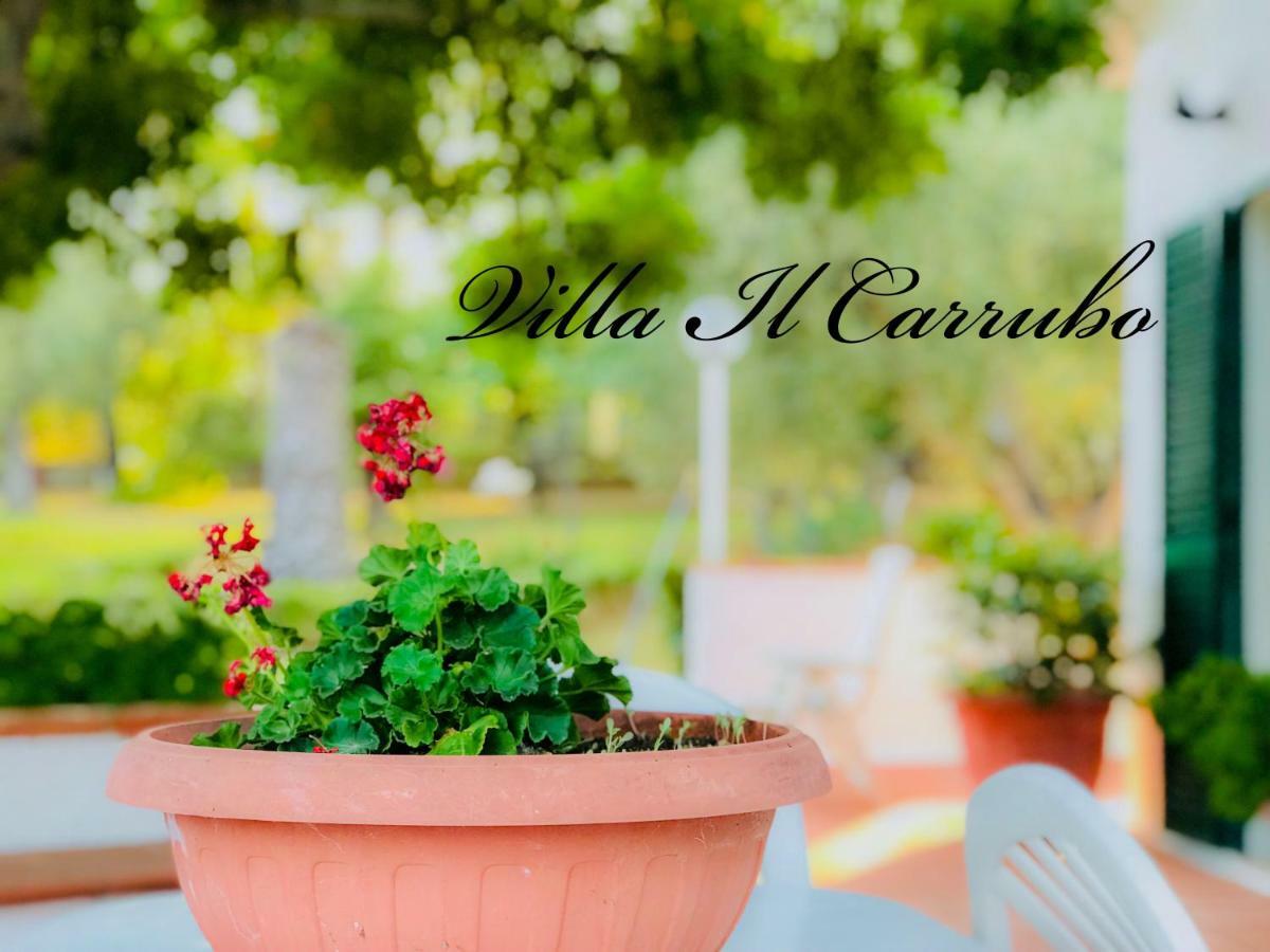 פיסטיצ'י Villa Il Carrubo - Basilicata מראה חיצוני תמונה